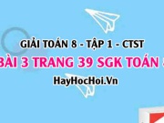 Giải bài 3 trang 39 Toán 8 Tập 1 SGK Chân trời sáng tạo